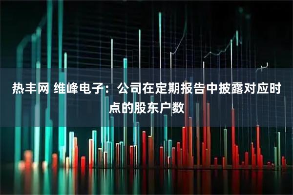 热丰网 维峰电子：公司在定期报告中披露对应时点的股东户数